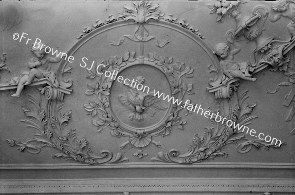 KILSHANNIG HOUSE DRAWING ROOM CEILING PANELS